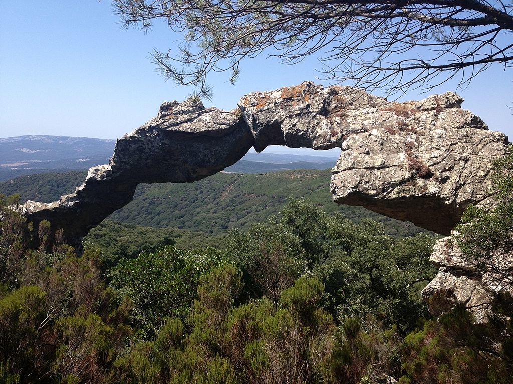 Parque Natural de los Alcornocales. Foto: Tanja Freibott